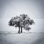 mt cook 20170701 dxo edit edit