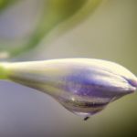 untitled shoot 20150104 edit edit