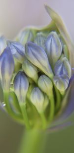 untitled shoot 20150104