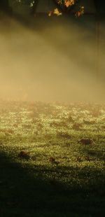 laurie thomas weekend 