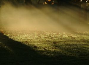 laurie thomas weekend 