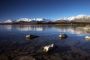 tekapo reflections