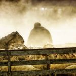 otematata workshop october 12  2015151012 edit